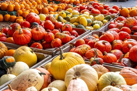 Various pumpkins, at a farm market, in autumn