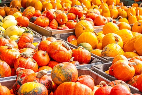 Various pumpkins, at a farm market, in autumn