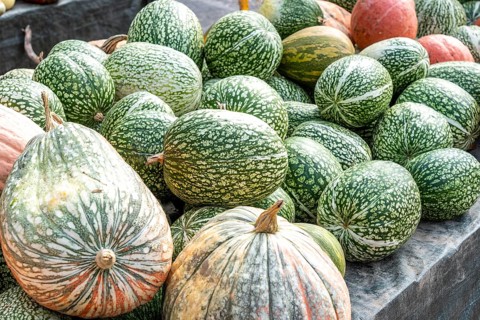 Fig leaf pumpkin, Curcurbitaficifolia, pumpkins, at a farm market, in autumn