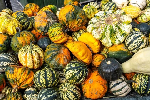 Ornamental pumpkins, at a farm market, in autumn
