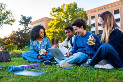 Group of diverse university students sitting on the green grass campus, sharing a laptop, studying,