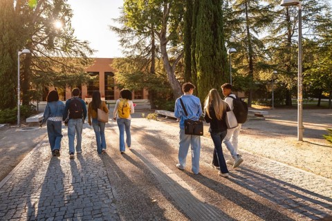 Young diverse students with backpacks walking together along a paved path, heading towards a