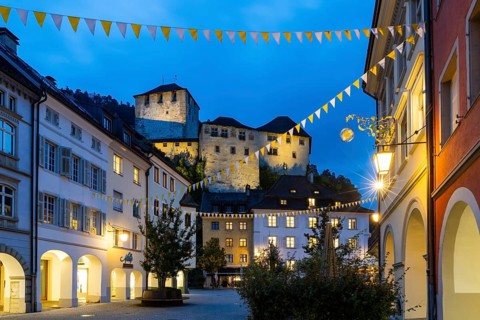 Historic houses, alley of houses with view of Schattenburg Castle, Blue Hour, Neustadt,