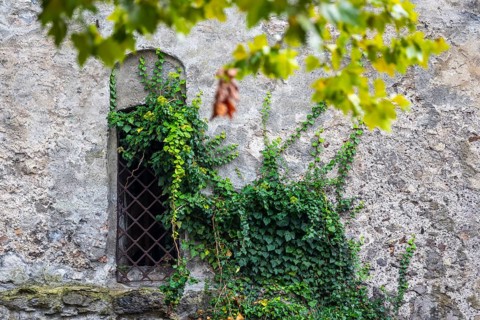 Facade, historic building, Wassertrum, Feldkirch, Vorarlberg, Austria