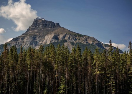 Majestic mountain of the Canadian Rocky Mountains with a rocky peak rising above a forest under a