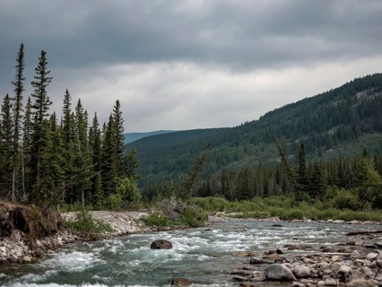 A flowing Elbow River bordered by dense forests and mountains under a cloudy sky within Bragg Creek