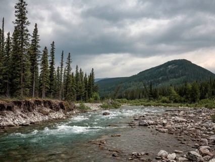 A rocky Elbow River flows between dense forests under an overcast sky in a mountainous region