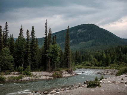 The Elbow River winds through a vast forest with mountains under a moody sky within Bragg Creek