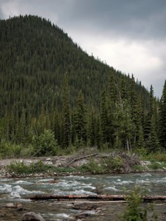 The Elbow River below a steep forested mountainside under a dramatic cloudy sky within Bragg Creek