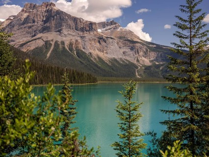 Emerald Lake with lush greenery and the rugged Canadian Rocky Mountains within Yoho National Park