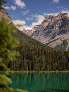 Peaceful Emerald Lake with reflection beside the Canadian Rocky Mountains and forest within Yoho