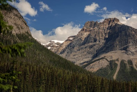 The Canadian Rocky Mountains under a blue sky with clouds and dense forest within Yoho National