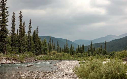Peaceful riverbank scene of the Elbow River with trees and mountains under a cloudy sky within