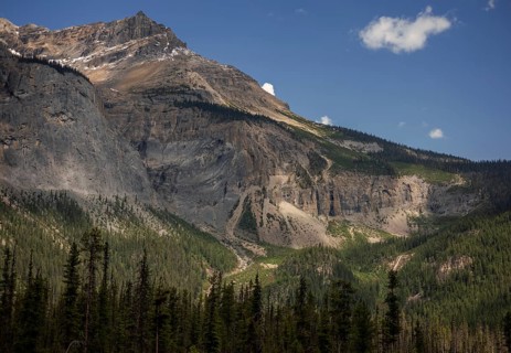 Expansive mountain of the Canadian Rocky Mountains and forest landscape under clear skies inside