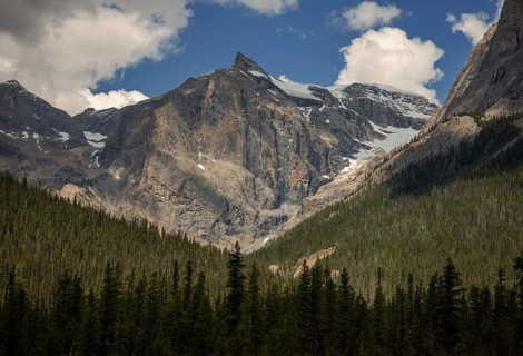 Rocky peaks of the Canadian Rocky Mountains under clear skies with dense forest below inside Yoho