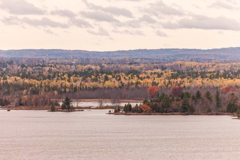Autumn forest with yellow and orange trees bordering the Ottawa River under a cloudy sky in Ottawa,