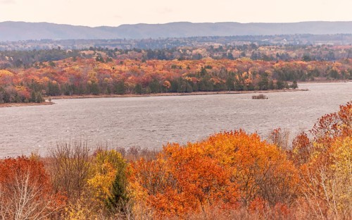 Vibrant autumn forest along the Ottawa River with distant hills under a cloudy sky in Ottawa,