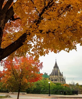 Colorful autumn trees framing a distant view of a gothic-style of the Canadian Parliament Building,