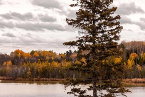 A serene lake scene with autumn trees and an overcast sky in Ottawa, Ontario, Canada, North America