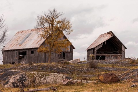 Two old barns in a rural area with autumn trees and a cloudy sky in Ottawa, Ontario, Canada, North