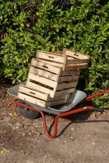 Borken, NRW, Germany, Wheelbarrow transporting stacked wooden crates for gardening work and fresh
