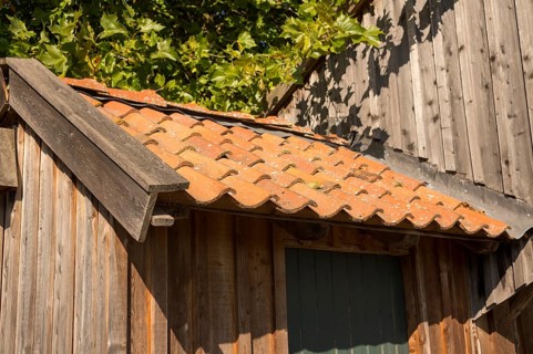 Borken, NRW, Germany, Rustic wooden shed featuring old terracotta roof tiles and green foliage