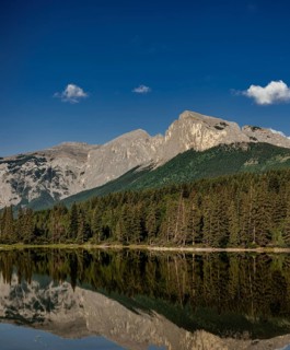 Tall mountains of the Canadian Rocky Mountains and trees reflecting in a serene lake under a clear