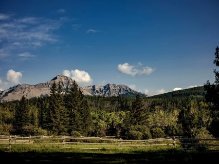 Landscape of mountains of the Canadian Rocky Mountains viewed from a grassy field with a wooden