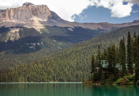 Forested Emerald Lake with the Canadian Rocky Mountains beneath a blue sky and scattered clouds