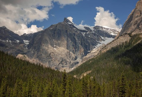 Imposing cliffs of the Canadian Rocky Mountains with snowy patches and dense forest beneath a clear