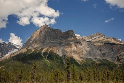 Massive mountain peaks of the Canadian Rocky Mountains surrounded by green forest and a clear blue