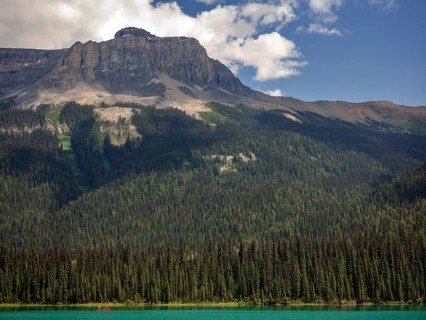 Serene landscape featuring a forest-lined Emerald Lake with the Canadian Rocky Mountains in the