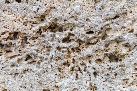 Full frame abstract porous stone detail