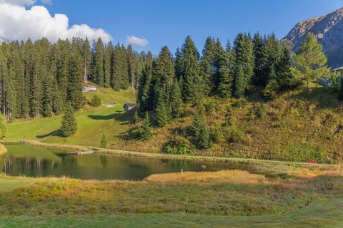Idyllic scenery around Warth, a municipality in the district of Bregenz in the Austrian state of