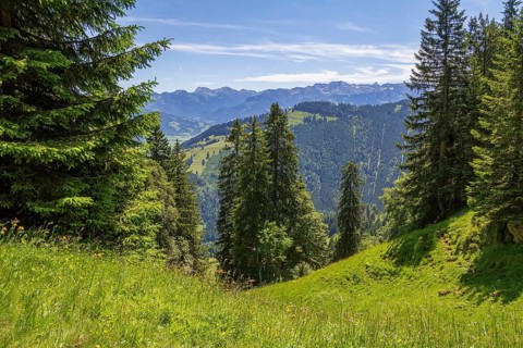 Idyllic scenery around the Immenstaedter Horn, a mountain in the Upper Allgaeu in Bavaria, Germany