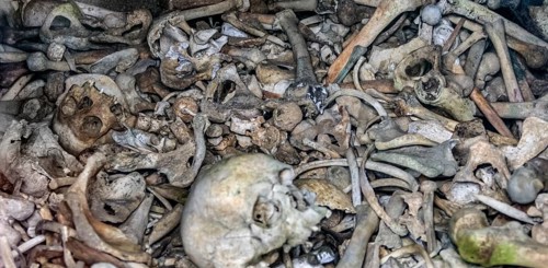 Lots of human bones from fallen soldiers seen at the Douaumont Ossuary, a memorial located near