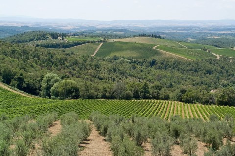 Scenery around Gaiole near Castle of Brolio in the Chianti region of Tuscany in Central Italy