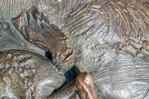 Full frame abstract bronze surface detail