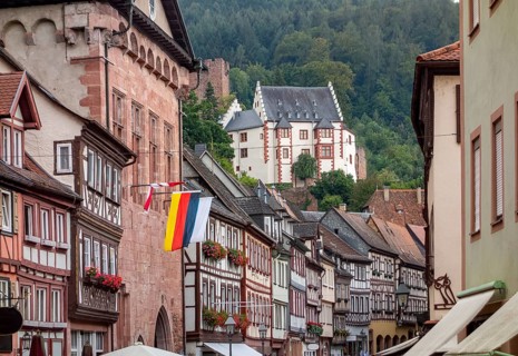 City view of Miltenberg, a town in Lower Franconia, Bavaria, Germany
