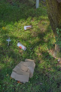 Lawn with waste from Burger-King food, Kempten, Allgäu, Swabia, Germany