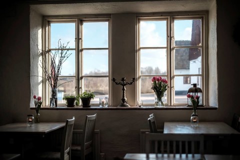 Daylit window view with candlestick and tulips, enhancing a cozy interior atmosphere in