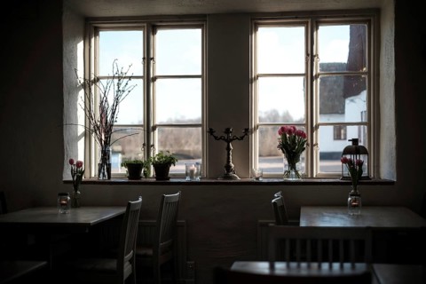 Dimly lit cozy interior with tulips and plants by a window, creating a warm atmosphere in