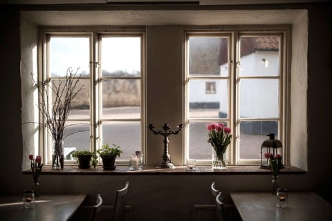 A window with indoor plants and a candlestick, reflecting warm sunlight and cozy interior in