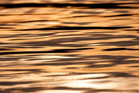 Golden tones of the sunset reflect on the calm water, creating a serene atmosphere in Muskoka,
