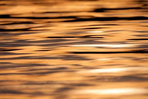 Calm water with ripples reflecting a warm orange sunset, creating a peaceful atmosphere in Muskoka,