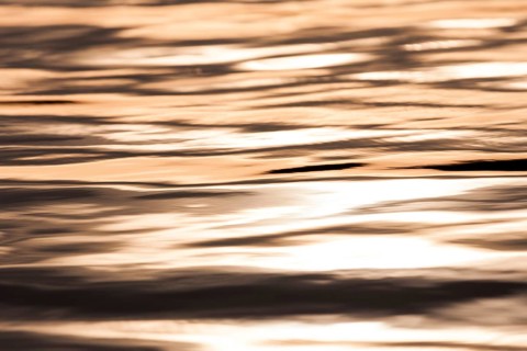 Golden light reflects on water, creating a serene ripple pattern as the sun sets in Muskoka,