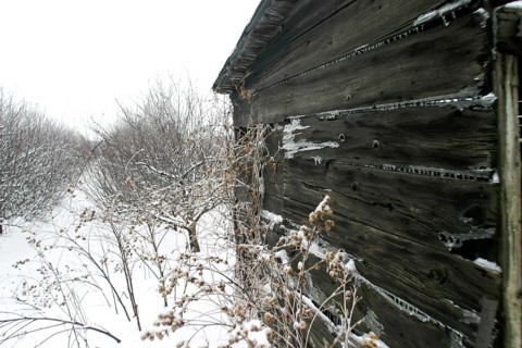 Close view of weathered wooden cabin amid a snowy landscape, atmospheric cold in London, Ontario,
