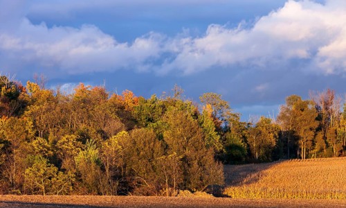 Colorful autumn trees under a dramatic cloudy sky in St. Thomas, Ontario, Canada, North America