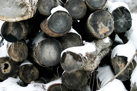 Stacked logs covered with snow in a wintry setting in London, Ontario, Canada, North America