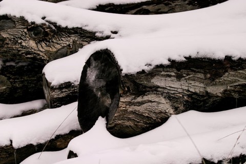 Close-up of snow-covered logs showing the texture of wood in London, Ontario, Canada, North America